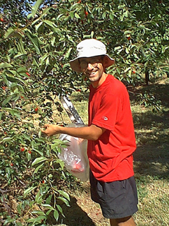 CapitolCherryPicking.jpg