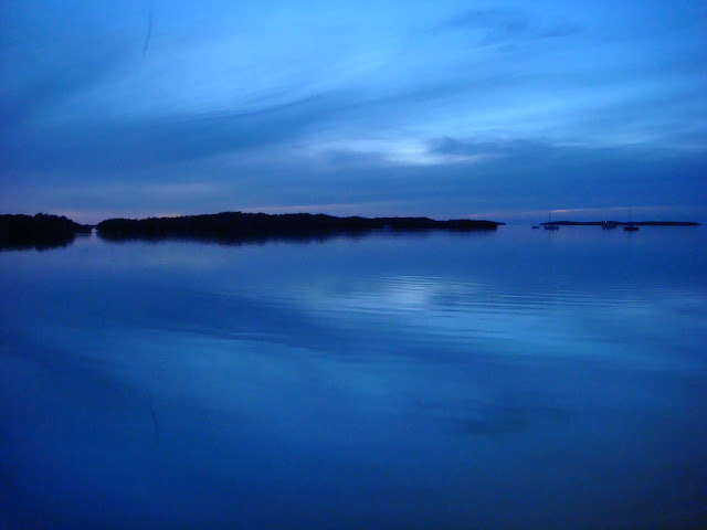 DSC05322.JPG