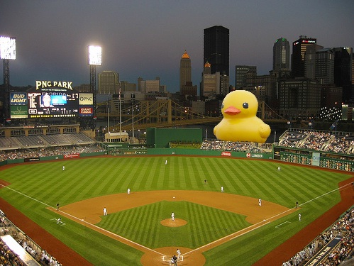 ducky-at-pnc.jpg