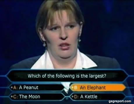 the_moon_vs_an_elephant_jpg.jpg