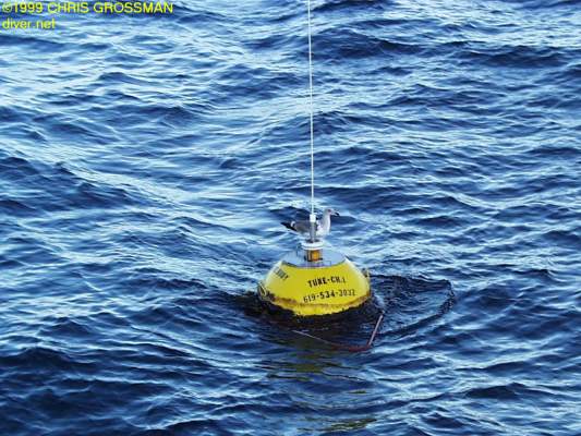 san_pedro_cdip_bouy_1999.11.24_530x400.jpg