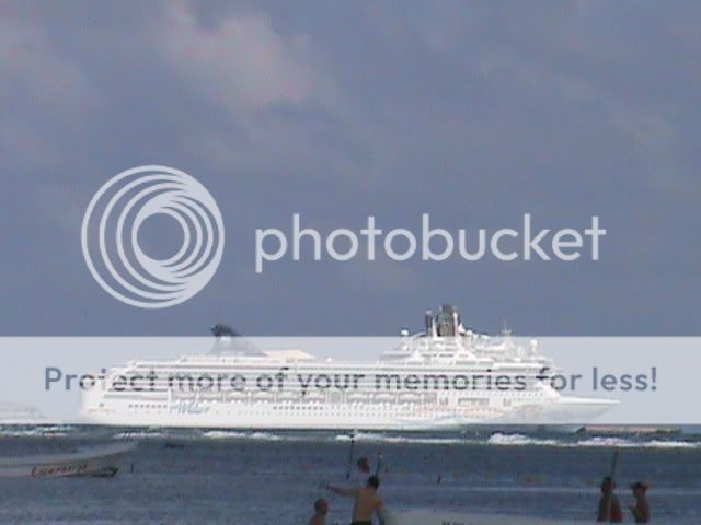 DSC00355.jpg