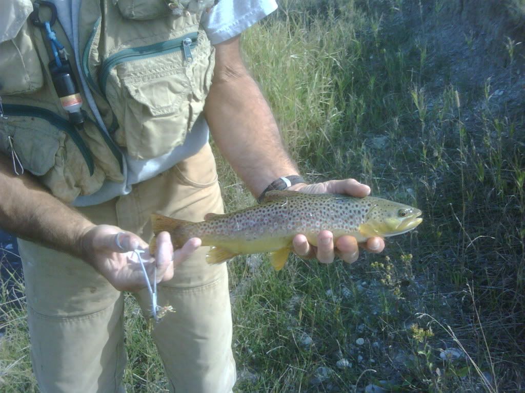 IMG01227-20101004-1545.jpg