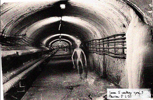 PVNAV-dulce-base.png