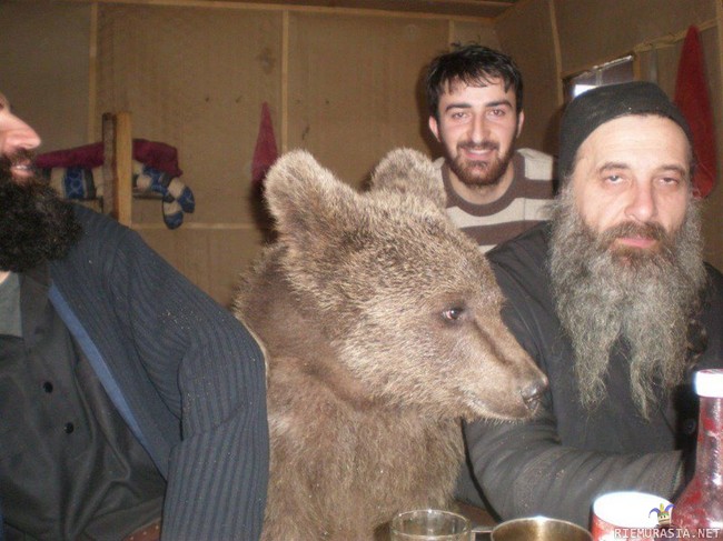 NhEKCY5.jpg
