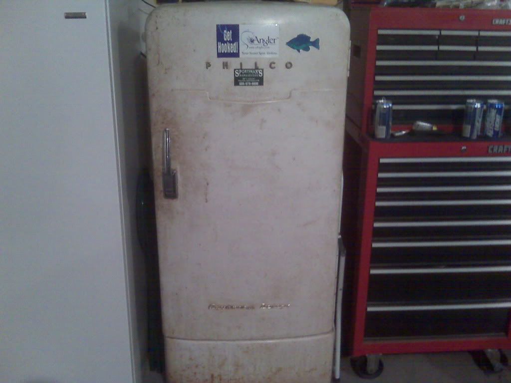 IMG00299.jpg