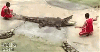 FRlmcis.gif