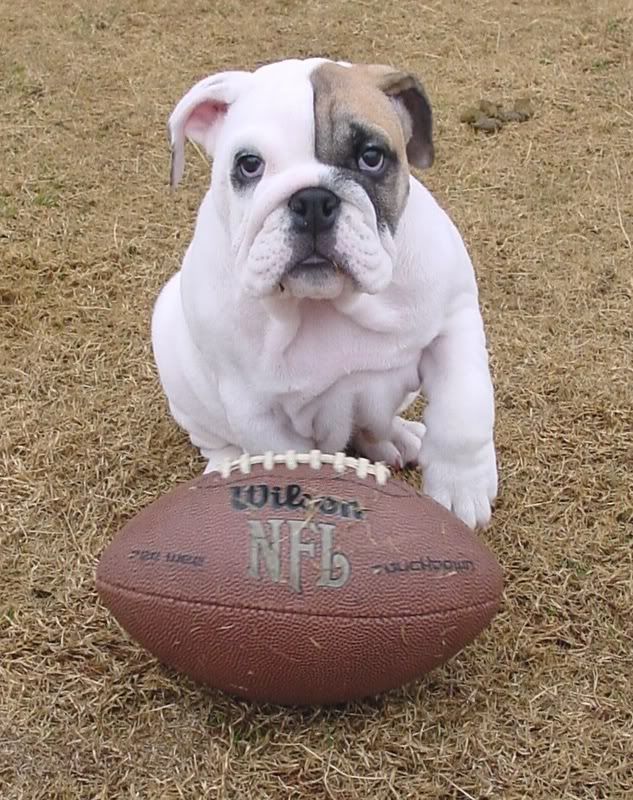 paxtonfootball.jpg