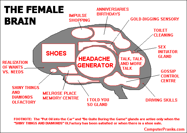 femalebrain.gif