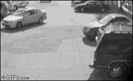 5PdPMLK.gif