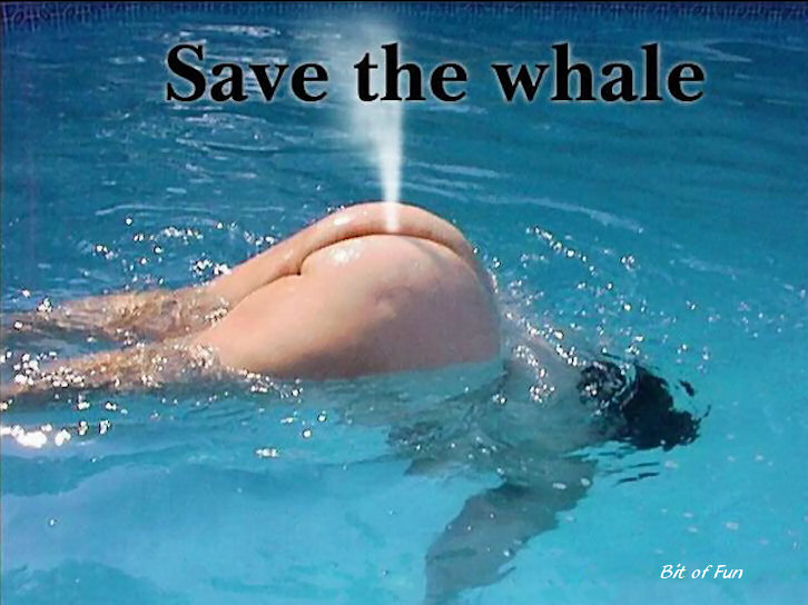 wei-whale.jpg