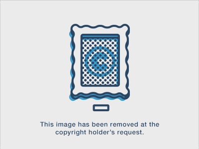 tumblr_n7a9d5x2r11s02vreo1_400.gif