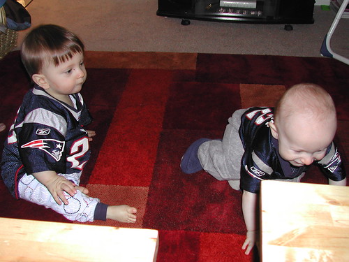 322487100_2bd4f288b8.jpg