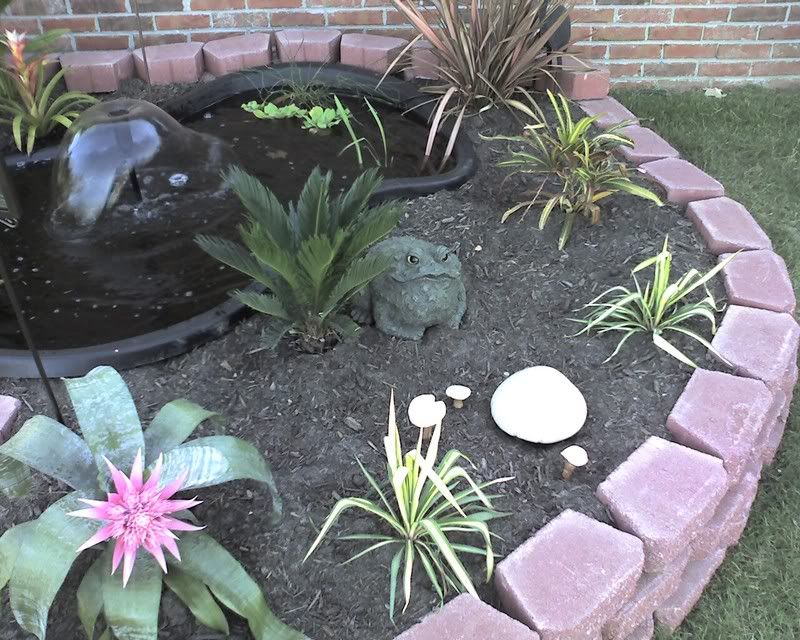 pond4.jpg