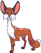 Big_eared_fox.gif