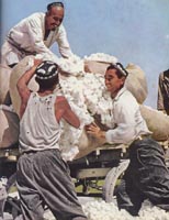 cotton-pickers-th.jpg