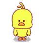 ducky.gif