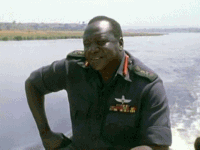 6PR6g.gif