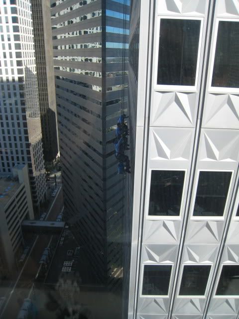 IMG_2056.jpg