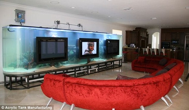 chad-ochocinco-aquarium-tv.jpg