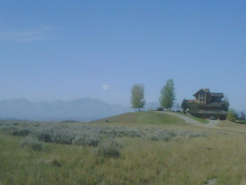 IMG01243-20101006-1345.jpg