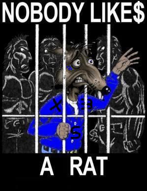 rat.jpg