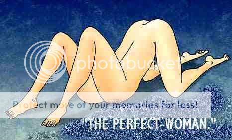 the_perfect_woman.jpg