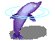 DolphinsFour.gif
