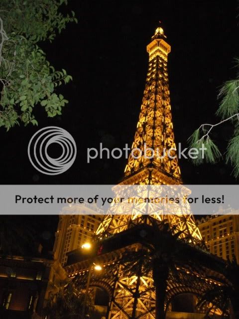 DSCN2467.jpg
