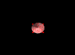 Rocket-11-june.gif