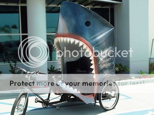 shark-pedicabbyStefanPaulos.jpg