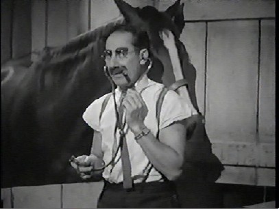 horsedoc.jpg