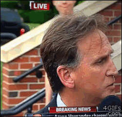 VWM7NGO.gif