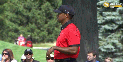 08-04-13-tiger-ball-toss.gif