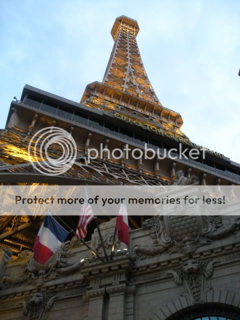 DSCN2571.jpg