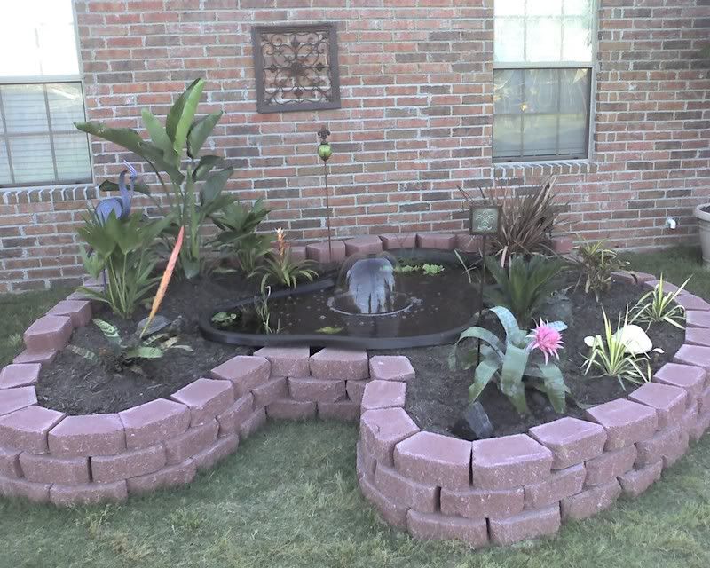 pond1.jpg