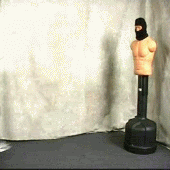 spinkickfallpw6.gif
