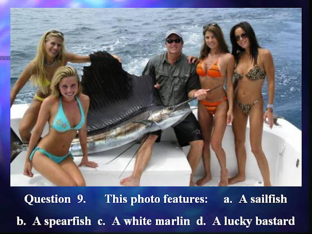 fish009.jpg