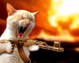 catfiregun.gif