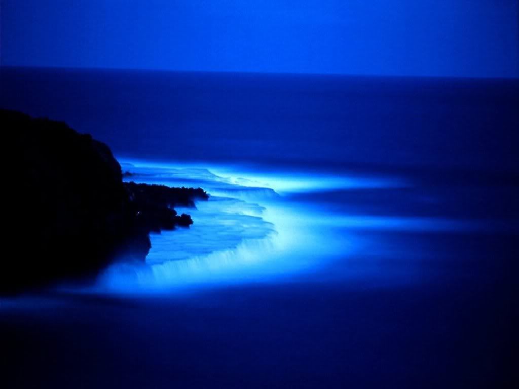 nightbeachb.jpg