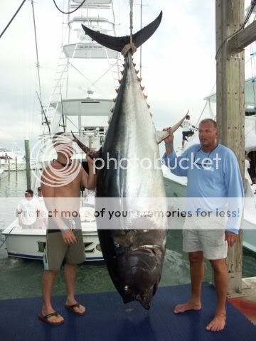 fish2.jpg