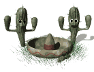 cactus_mexican_hat_dance_md_wht.gif