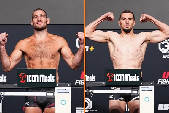 www.sherdog.com