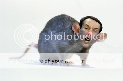 ratface.jpg