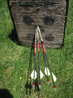 4-Arrow-Group-Bill-Light-WE.gif