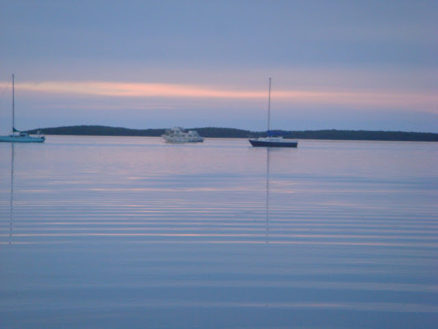 DSC05271.JPG