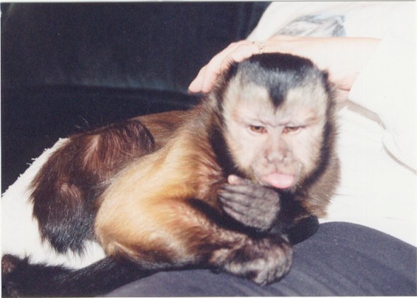 contest90.jpg