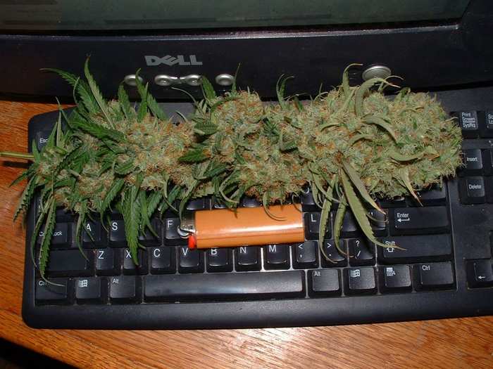 budkeyboard.jpg