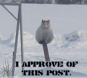 tumblr_lfjhdovKUn1qcu4mno1_400.jpg