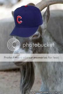 goat_cubs_hat.jpg